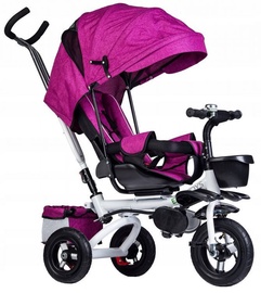 EcoToys Tricycle Trolley Pusher Rose