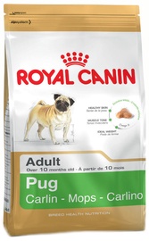 Sausas ėdalas šunims Royal Canin BHN Pug Adult, 1,5 kg