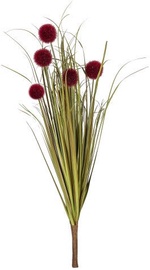 Home4you Bouquet Herbarium 5pcs In Garden H59cm Brown 83852