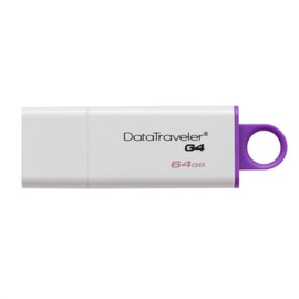 USB atmintinė Kingston DTIG4, USB 2.0, 64 GB
