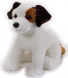 Dante National Geographics Jack Russel 25cm