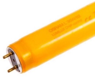 Osram Lumilux Lamp 36W G13 Yellow