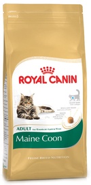 Royal Canin FBN Maine Coon 4kg
