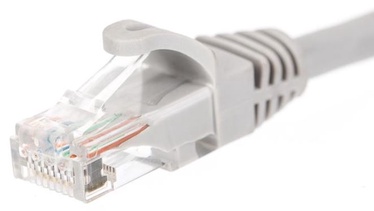 Netrack CAT 6 UTP Patch Cable Grey 0.5m