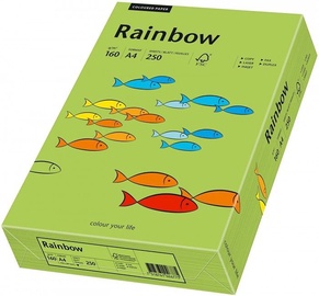 Kontoripaber Papyrus Rainbow, A4, 160 g/m², roheline