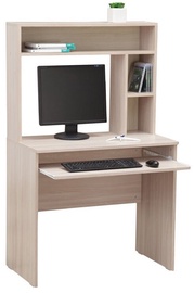 MN Writing Desk 10.5 Dark Shimo