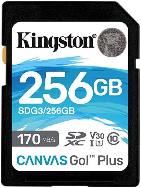 Mälukaart Kingston Canvas Go! Plus, 256 GB, 170 Mb/s - 90 Mb/s