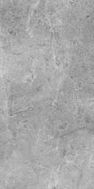 Flīzes Mons, akmens, 600 mm x 300 mm