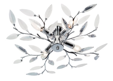 Nino Nottinghem 63180406 Chrome