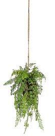 Home4you In Garden Hanging Plant In Pot Small