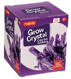 Magnoidz Grow Crystal Science Kit Amethyst Purple SC254