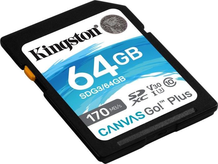 Mälukaart Kingston Canvas Go! Plus, 64 GB