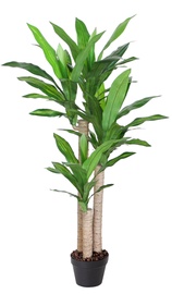 Kunsttaim potis, draakonipuu Home4you Dracaena Artificial, roheline, 1250 mm