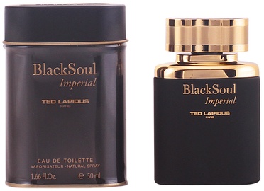 Tualetes ūdens Ted Lapidus Black Soul Imperial 50ml EDT