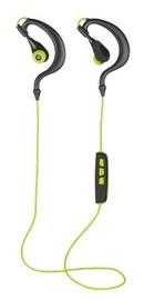 Ausinės Trust Senfus Black/Green, belaidės