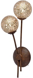 Paul Neuhaus Greta Wall Lamp 2x40W G9 Antique Brown/Gold