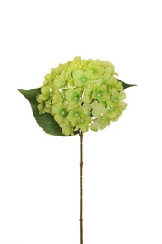 MĀKSL. HORT. 47 CM 80-353412 Z.