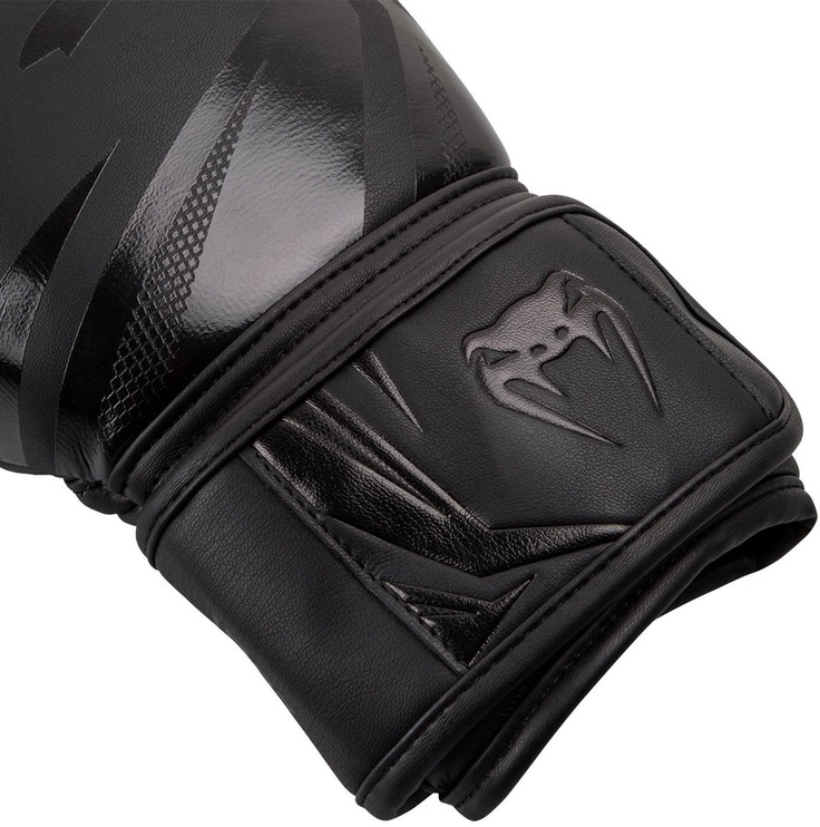 Боксерские перчатки Venum Challenger 3.0, черный, 10 oz