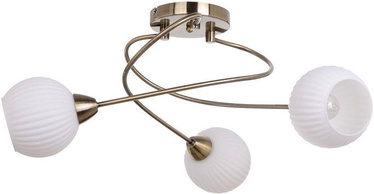 Verners 148258 RIBERO Brass