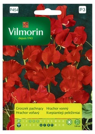 Puķu zirnīšu sēklas Vilmorin P454