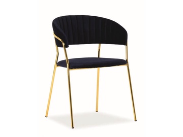 Стул для столовой Signal Meble Lira Velvet Blue/Gold, 1 шт.