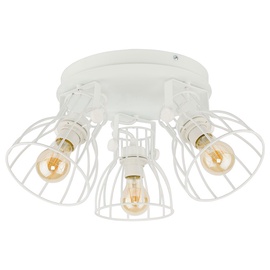 Kryptinis šviestuvas TK Lighting Alano white 2119, 3X60W, E27