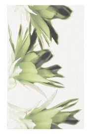 Keraminės dekoruotos sienų plytelės Verno Green Flower, 40 x 20 cm
