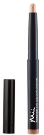 Mii Forever Eye Crayon 1.64g 07