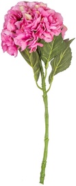 Home4you Hortensia In Gerden H54cm 83819 Pink