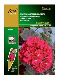 Raiblapu pelargonijas sēklas Lucia Elite Night Violet H