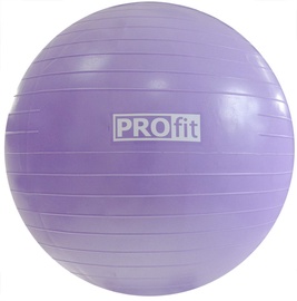 Gimnastikos kamuolys PROfit, violetinis, 45 cm