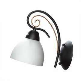 Sienas lampa Futura MB11007A/1 60W E27