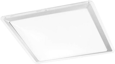 Leuchten Direkt Labol Ceiling/Wall Lamp 9W LED Nickel