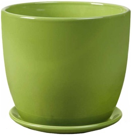Polnix Amsterdam 20 x 18cm Green