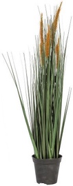 Home4you Bouquet Herbarium In Garden H70 83833