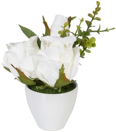Home4you Roses In Garden With White Pot H15cm White