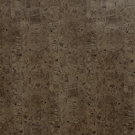 LĪMPLĒVE 5130