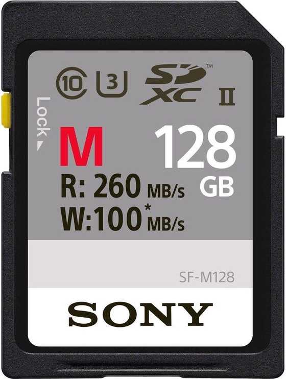 Atmiņas karte Sony, 128 GB