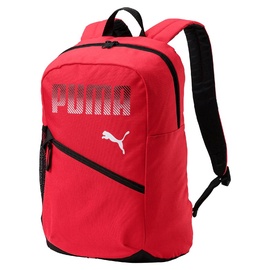 Kuprinė Puma 075483 05
