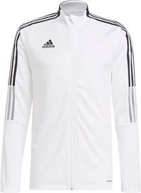 Pintsak, meeste Adidas Tiro 21 Track GM7309, valge, L