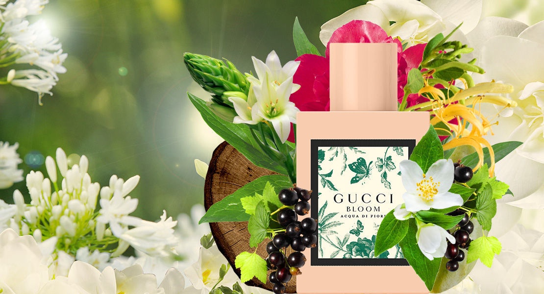 gucci bloom jasmin