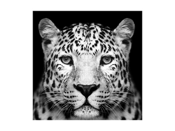 Signal Meble Panther Glass Painting 80x80cm