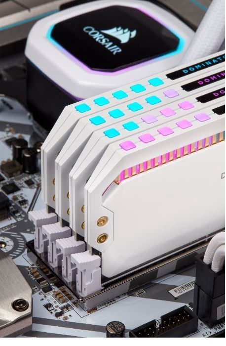 dominator white ram