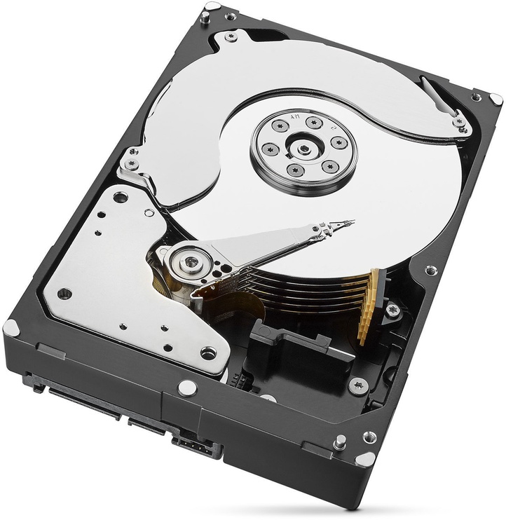 NAS kietasis diskas Seagate IronWolf Pro ST14000NE0008, 14000 GB