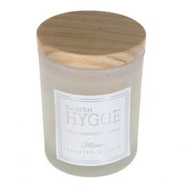 Свеча Danish Hygge Mango, 25 час