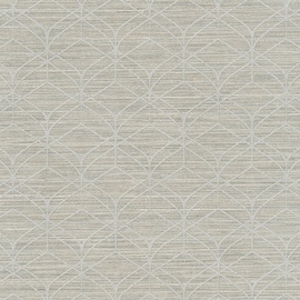 Viniliniai tapetai Titanium 2 360042