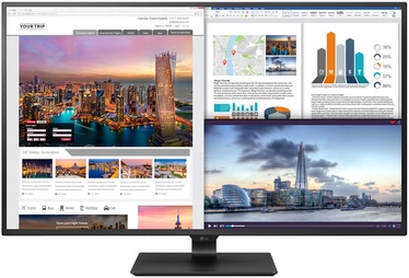 Monitorius LG 43UD79-B