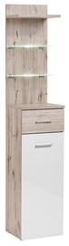 Полка ASM Gustavo Type B+C Gloss White/Wellington Oak