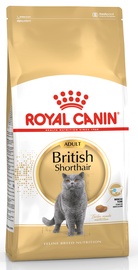 Kuiv kassitoit Royal Canin Adult British Shorthair, kanaliha, 10 kg