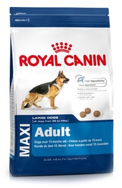 Suņu barība Royal Canin Maxi Adult, 15kg